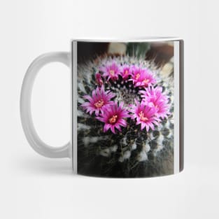 Purple Cactus Flowers Mug